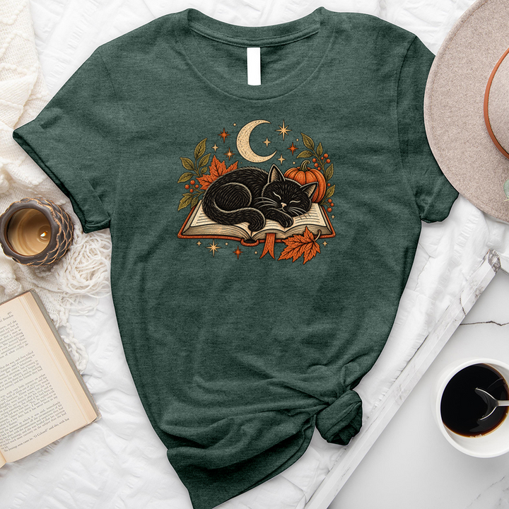 sleeping black cat unisex tee